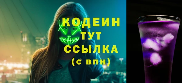 хмурый Дмитров