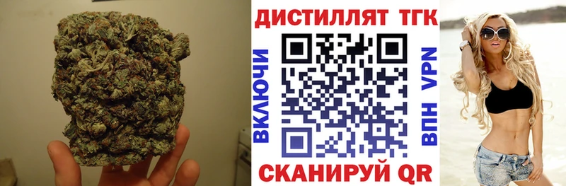 ТГК концентрат  Гороховец 