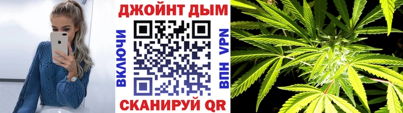 Каннабис ГИДРОПОН  Гороховец 